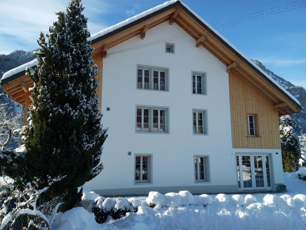 Mountain-Panorama Daire Meiringen Dış mekan fotoğraf