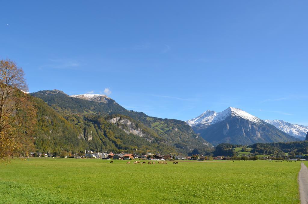 Mountain-Panorama Daire Meiringen Dış mekan fotoğraf