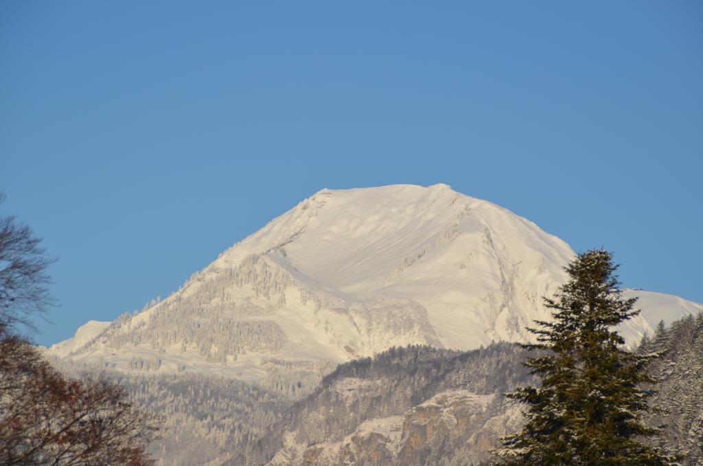 Mountain-Panorama Daire Meiringen Dış mekan fotoğraf