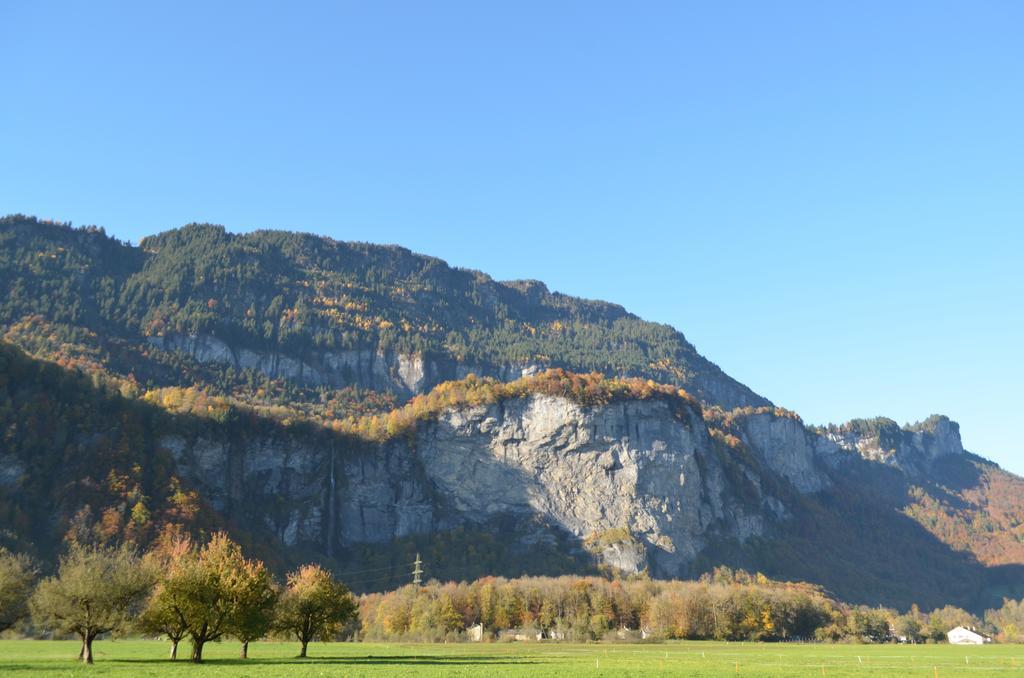 Mountain-Panorama Daire Meiringen Dış mekan fotoğraf